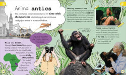 Alternative view 2 of My Encyclopedia of Very Important Adventures: For little learners who love exciting journeys and incredible discoveries