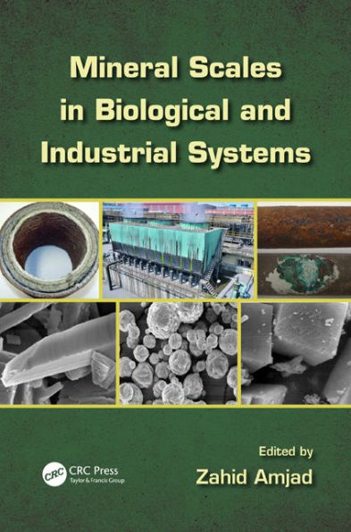 Mineral Scales in Biological and Industrial Systems / Edition 1
