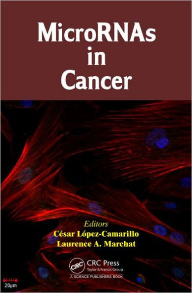 MicroRNAs in Cancer / Edition 1