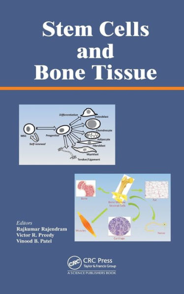 Stem Cells and Bone Tissue / Edition 1