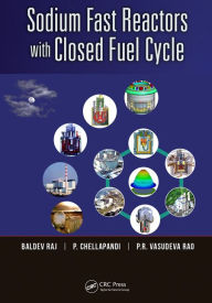 Title: Sodium Fast Reactors with Closed Fuel Cycle / Edition 1, Author: Baldev Raj