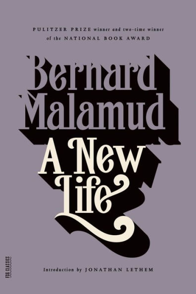 A New Life: A Novel