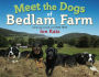 Meet the Dogs of Bedlam Farm