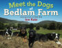 Alternative view 2 of Meet the Dogs of Bedlam Farm