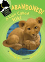 Abandoned! A Lion Called Kiki (Rainbow Street Shelter Series #4)