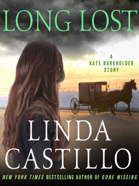 Long Lost: A Kate Burkholder Short Story