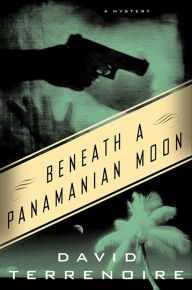 Title: Beneath a Panamanian Moon: A Mystery, Author: David Terrenoire