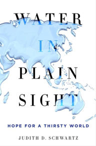 Title: Water in Plain Sight: Hope for a Thirsty World, Author: Judith D. Schwartz