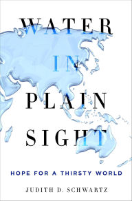 Title: Water in Plain Sight: Hope for a Thirsty World, Author: Judith D. Schwartz
