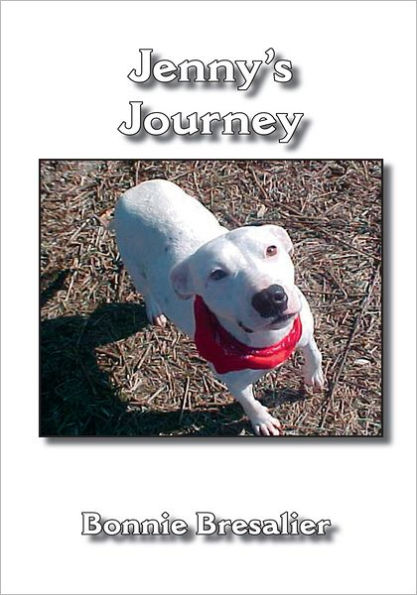 Jenny's Journey