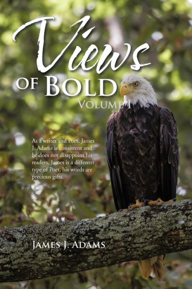 Views of Bold: Volume I