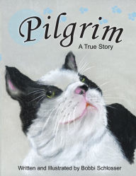 Title: Pilgrim: A True Story, Author: Bobbi Schlosser