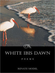 Title: WHITE IBIS DAWN, Author: Renate Model