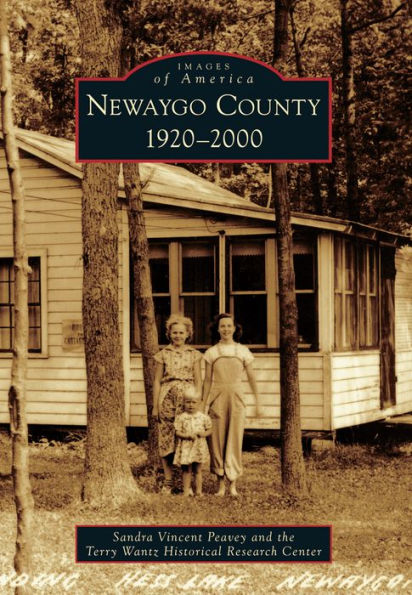 Newaygo County: 1920-2000