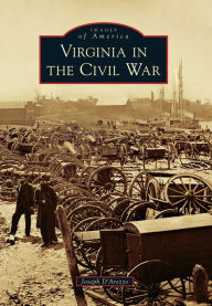 Title: Virginia in the Civil War, Author: Joseph D'Arezzo