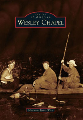 Wesley Chapel Florida Images Of America Series By Madonna