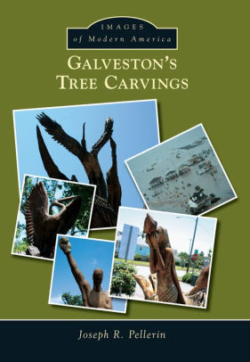 Galveston S Tree Carvings Texas Images Of Modern America Series