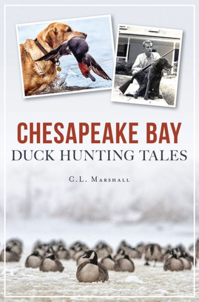 Chesapeake Bay Duck Hunting Tales