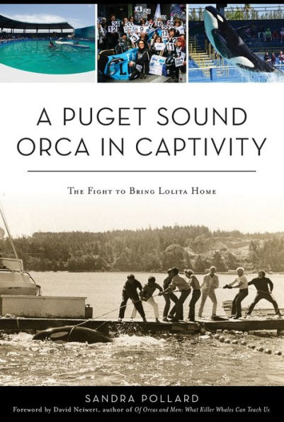 A Puget Sound Orca in Captivity: The Fight To Bring Lolita Home