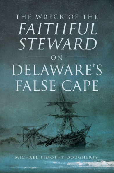 the Wreck of Faithful Steward on Delaware's False Cape