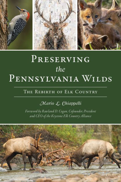 Preserving The Pennsylvania Wilds: Rebirth of Elk Country