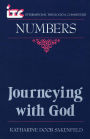 Numbers: Journeying with God