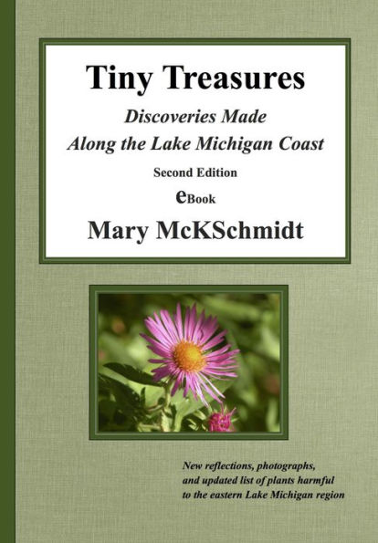 Tiny Treasures: Discoveries Made Along the Lake Michigan Coast, Second Edition