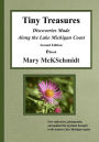 Tiny Treasures: Discoveries Made Along the Lake Michigan Coast, Second Edition