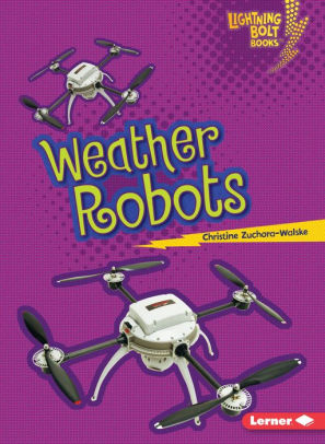 Image result for weather robots book