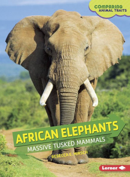 African Elephants: Massive Tusked Mammals