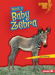 Title: Meet a Baby Zebra, Author: Lisa Owings