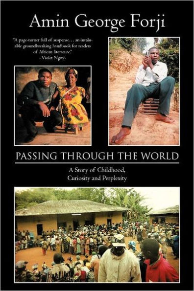 Passing Through the World: A Story of Childhood, Curiosity and Perplexity