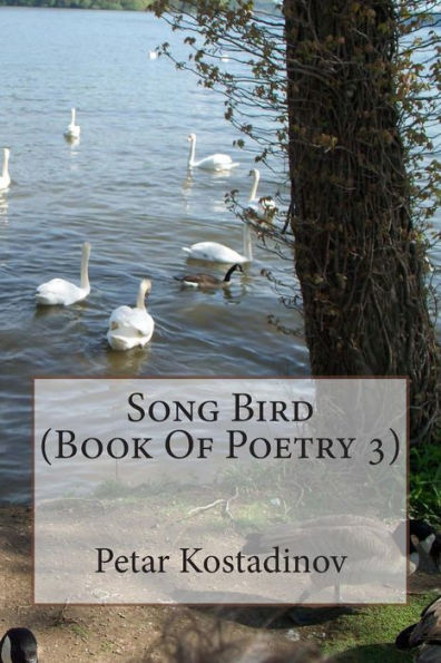 Song Bird (Book Of Poetry 3)