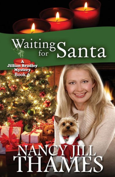 Waiting for Santa (Jillian Bradley Mysteries Series #6)