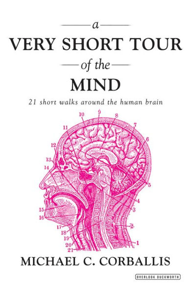 A Very Short Tour of the Mind: 21 Short Walks Around the Human Brain