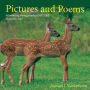 Pictures and Poems: Introducing young people to NATURE in a poetic way!