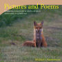 Pictures and Poems Book 2: Introducing young people to nature and nature conservation, in a poetic way.