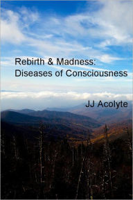 Title: Rebirth & Madness: Diseases of Consciousness: Diseases of Consciousness & The Soul's Evolution, Author: JJ Acolyte