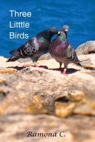 Title: Three Litttle Birds, Author: Joana Rostek