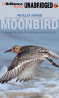 Moonbird: A Year on the Wind with the Great Survivor B95