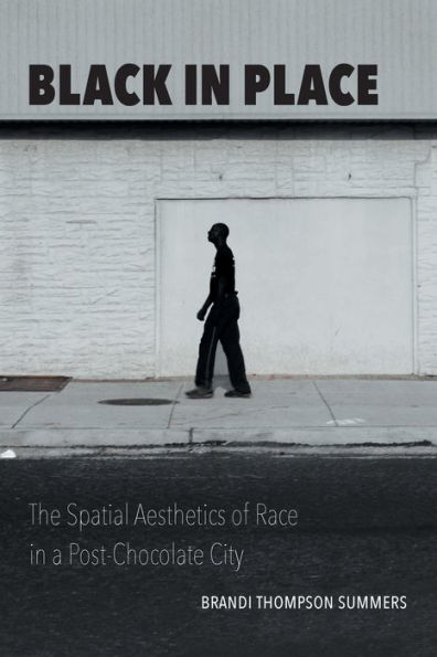 Black Place: The Spatial Aesthetics of Race a Post-Chocolate City