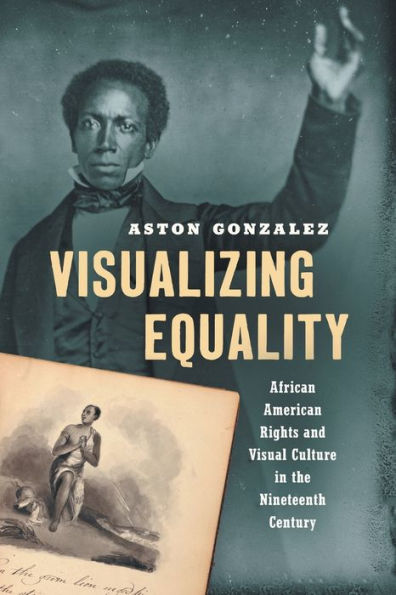 Visualizing Equality: African American Rights and Visual Culture the Nineteenth Century