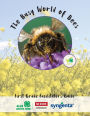 The Busy World of Bees: First Grade Facilitators Guide