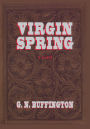 VIRGIN SPRING: A Southwest Story of Romance and Adventure