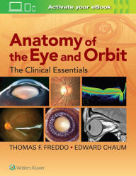 Title: Anatomy of the Eye and Orbit: The Clinical Essentials / Edition 1, Author: Thomas F Freddo