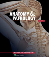 Title: Anatomy & Pathology:The World's Best Anatomical Charts Book / Edition 6, Author: Anatomical Chart Company