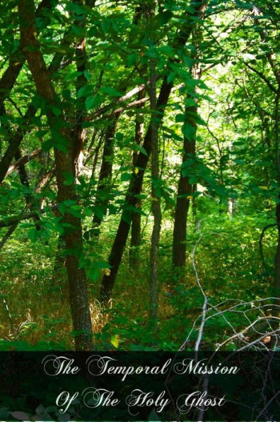 The Temporal Mission Of The Holy Ghost: Reason And Revelation