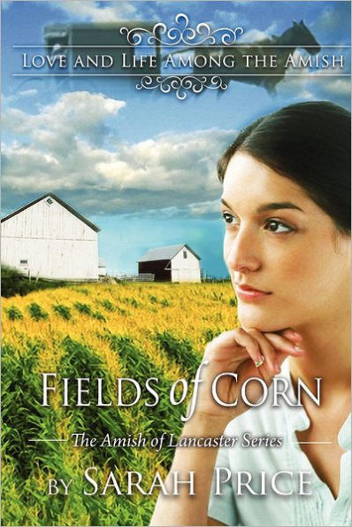 Fields of Corn: The Amish of Lancaster