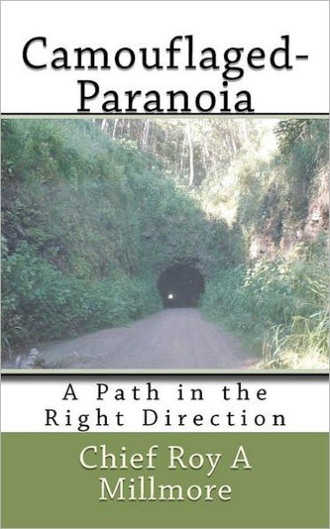 Camouflaged-Paranoia: A Path in the Right Direction