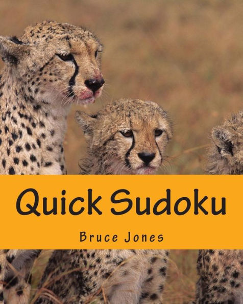 Quick Sudoku: Fast, Fun, and Easy Sudoku Puzzles